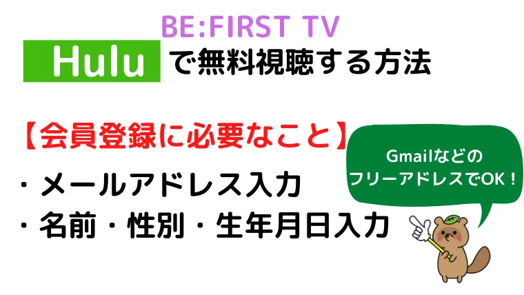 ビーファーストTV hulu