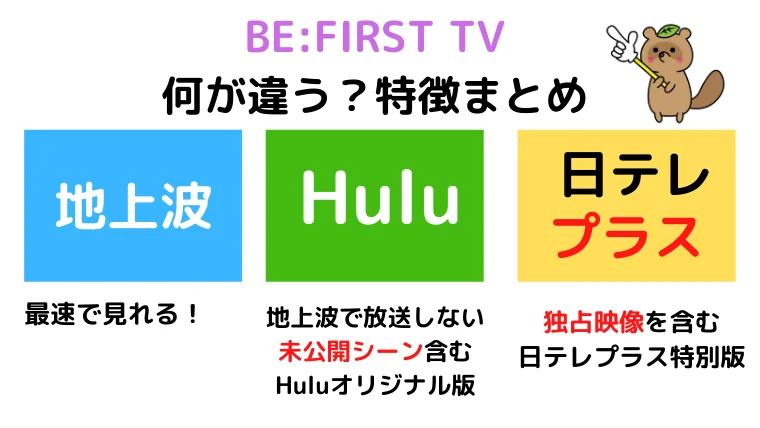 ビーファーストTV Hulu 日テレプラス 違い